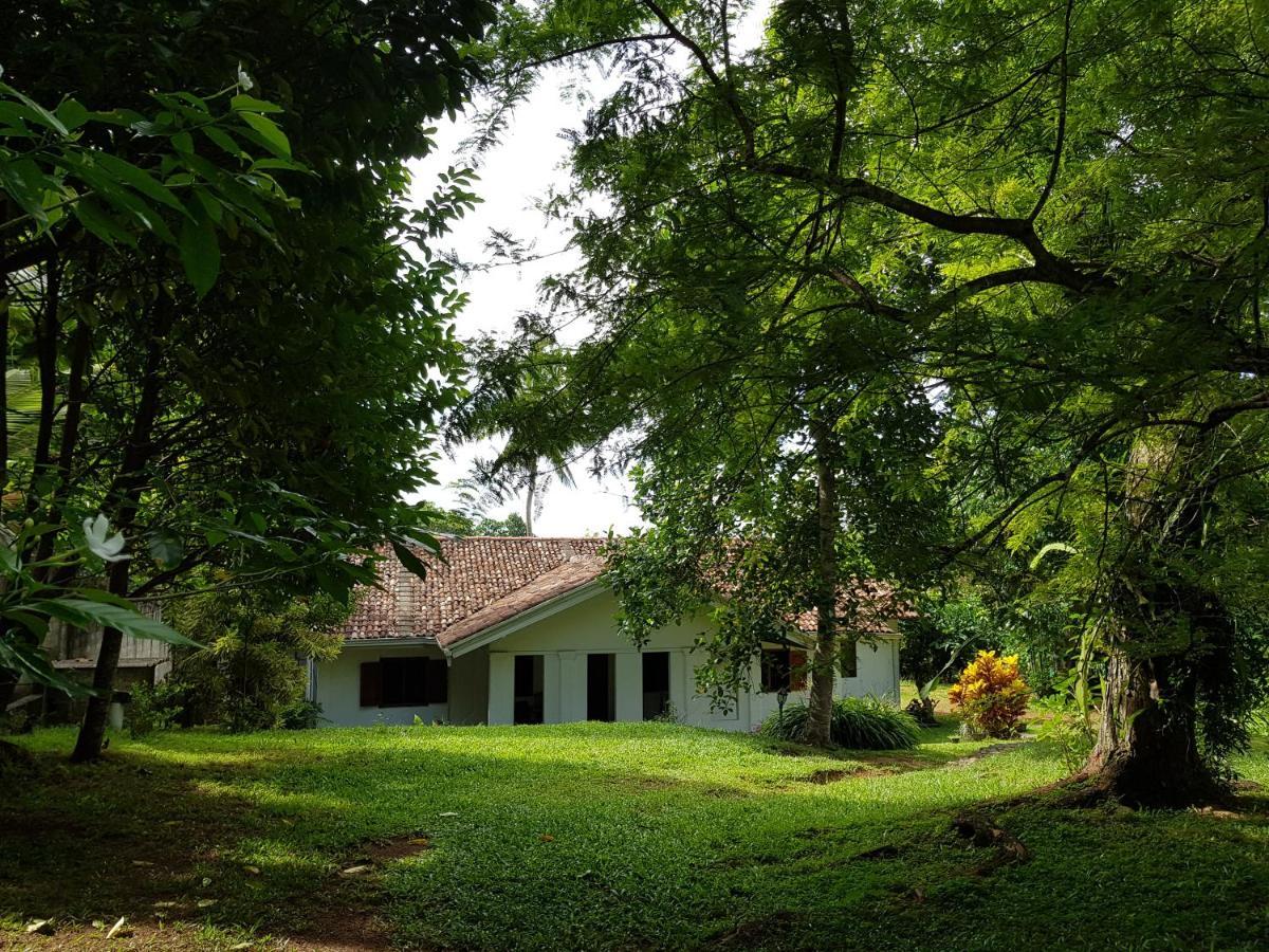 Chitra Ayurveda Hotel Bentota Eksteriør billede