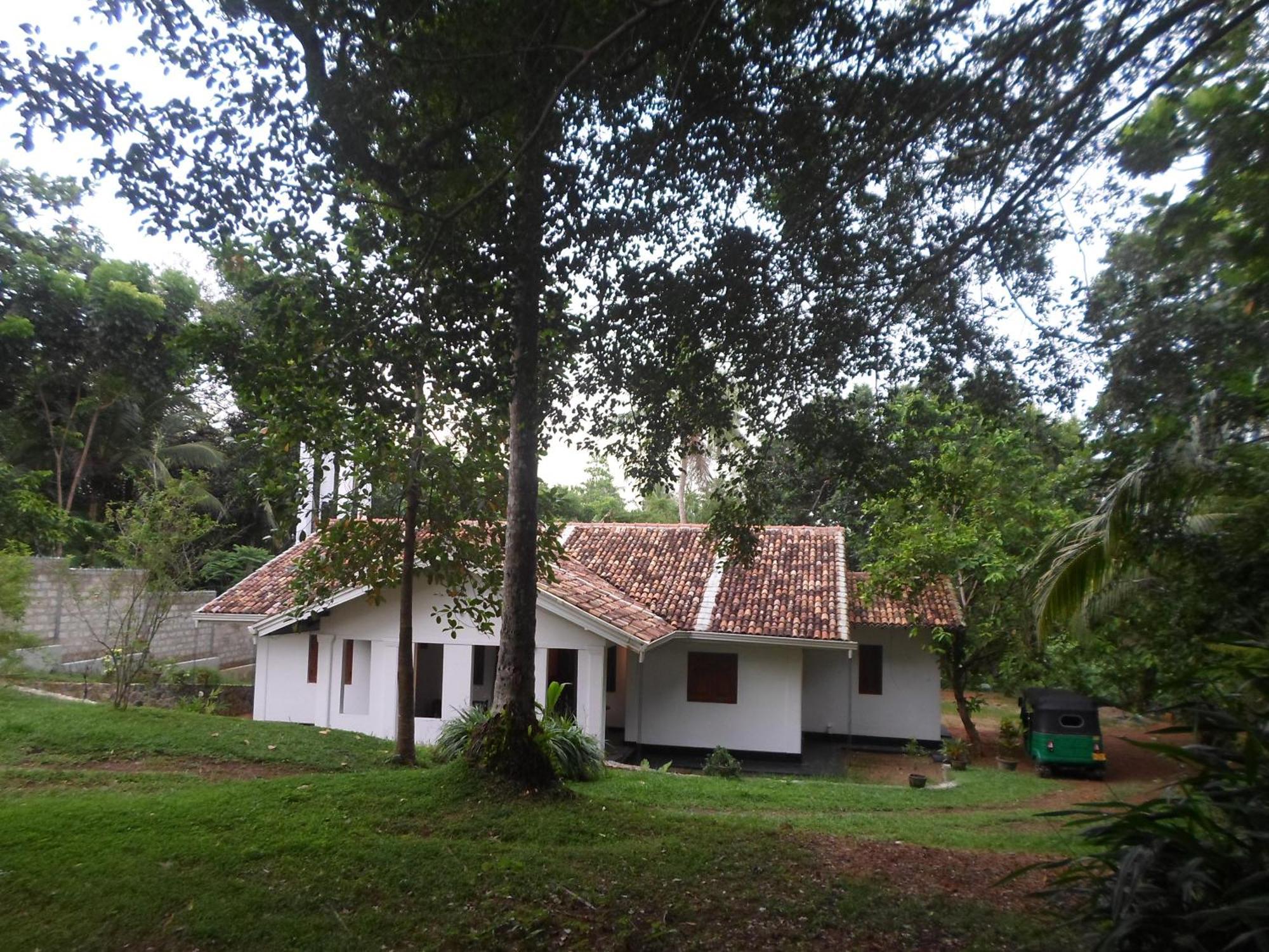 Chitra Ayurveda Hotel Bentota Værelse billede
