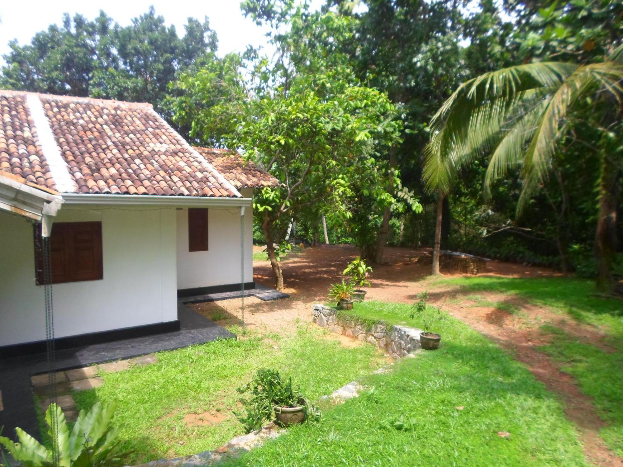 Chitra Ayurveda Hotel Bentota Værelse billede
