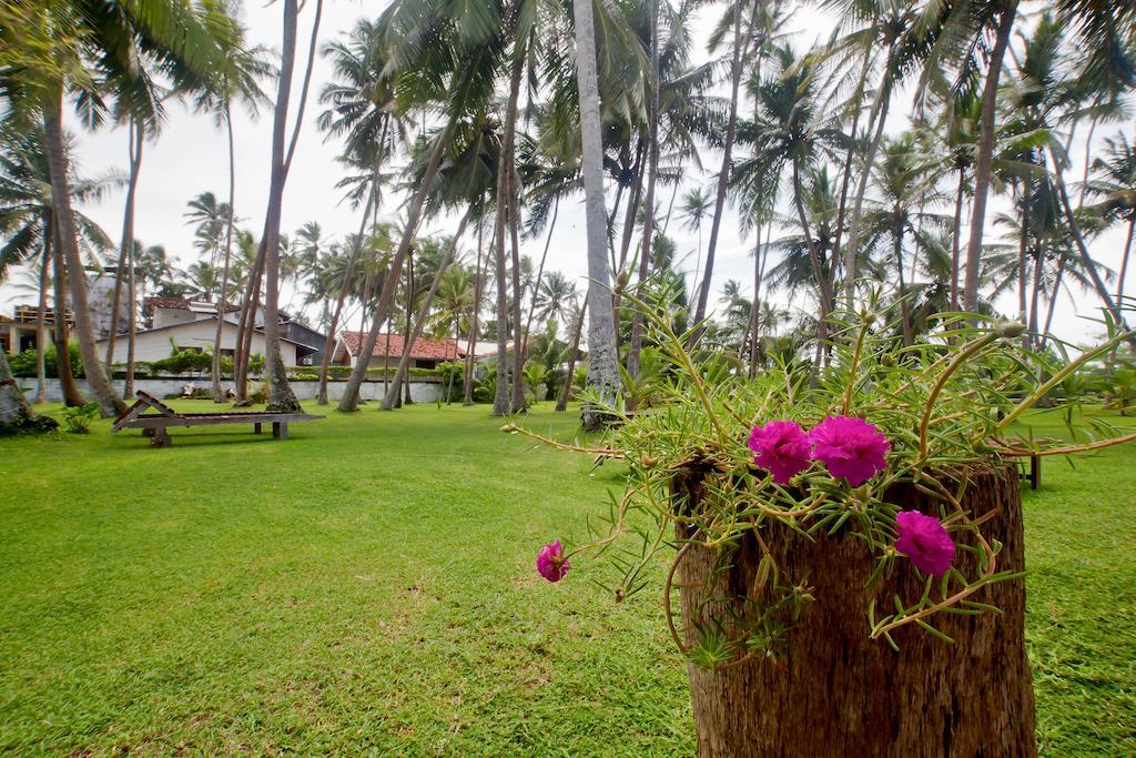 Chitra Ayurveda Hotel Bentota Eksteriør billede
