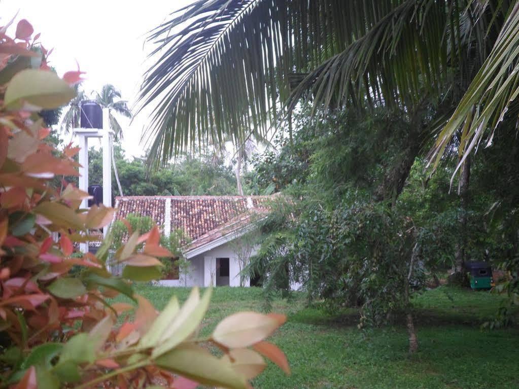 Chitra Ayurveda Hotel Bentota Eksteriør billede